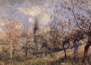 Alfred Sisley Orchard in Sping-By oil painting reproduction